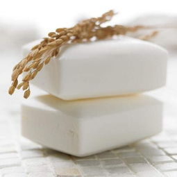 彪盛日用品 品质生活，触手可及——最新产品展示与深度解析